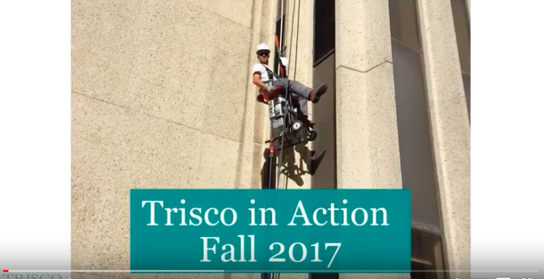 Trisco in Action